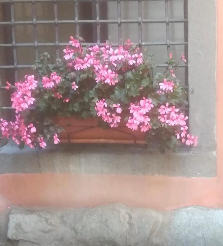 Casa Mirella Διαμέρισμα Lovere Εξωτερικό φωτογραφία